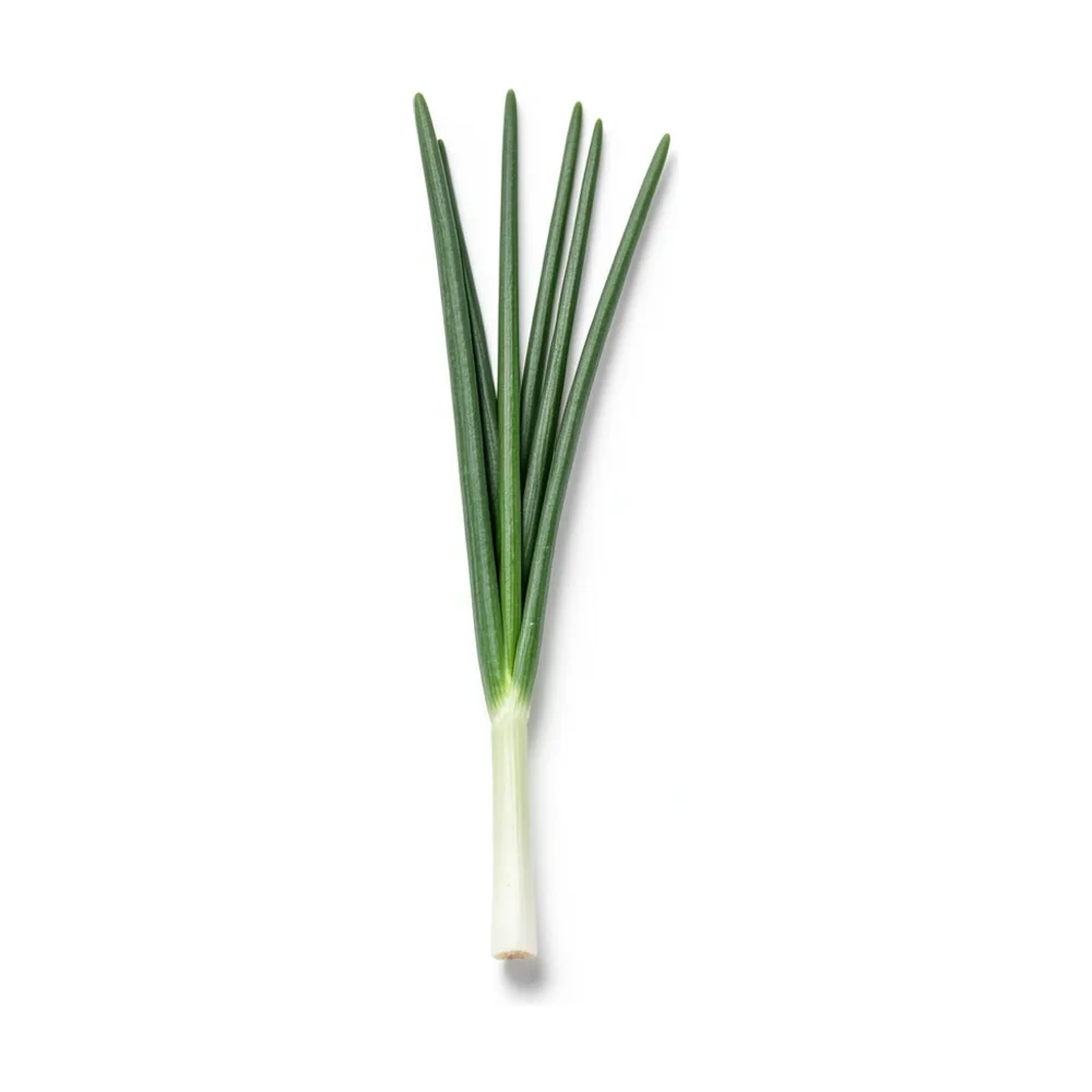 Ciboulette