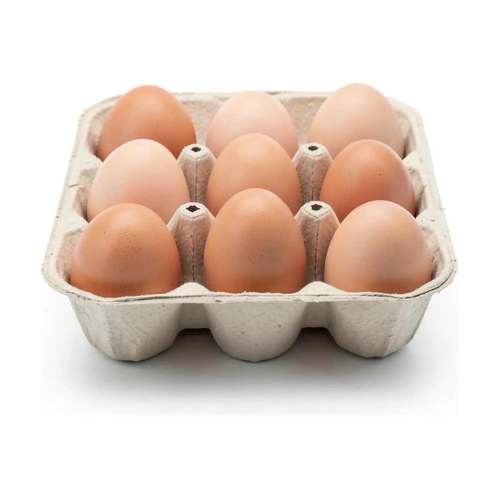 Huevos caja x 12