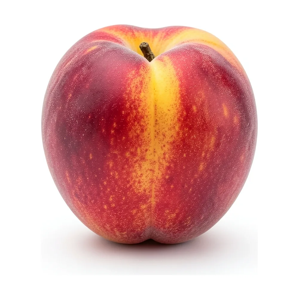 Damasco