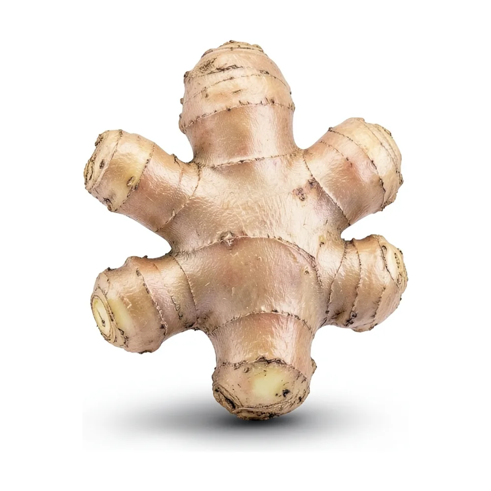 Jengibre
