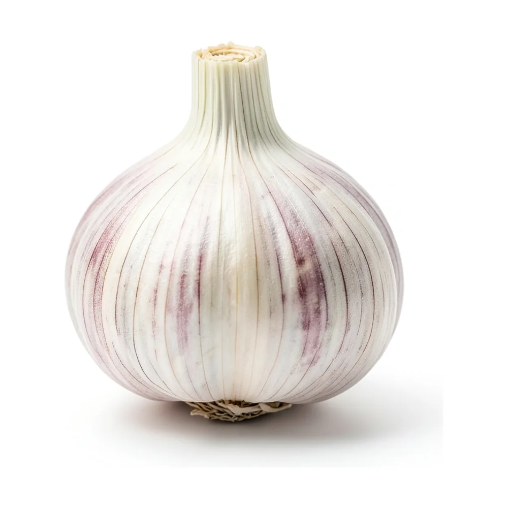 Ajo