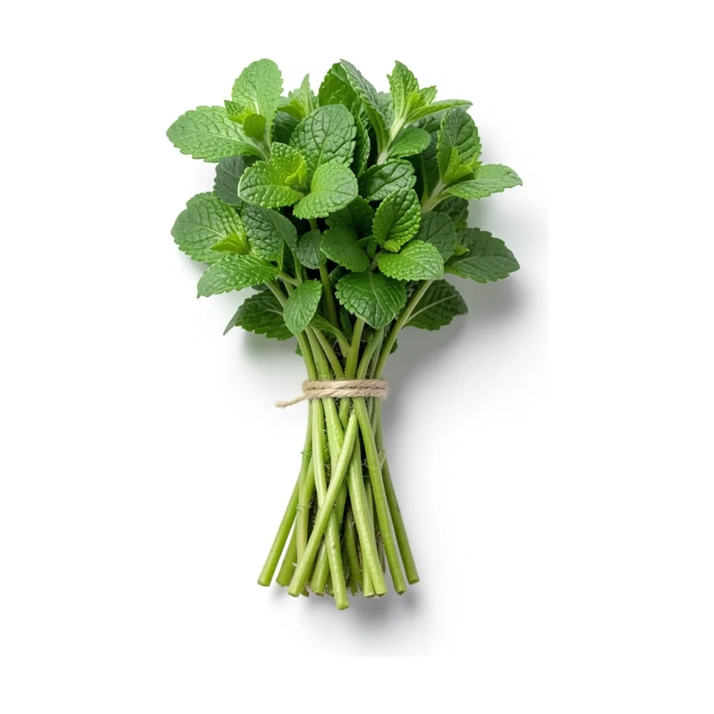 Menta