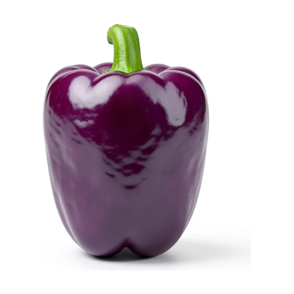 Morrón morado