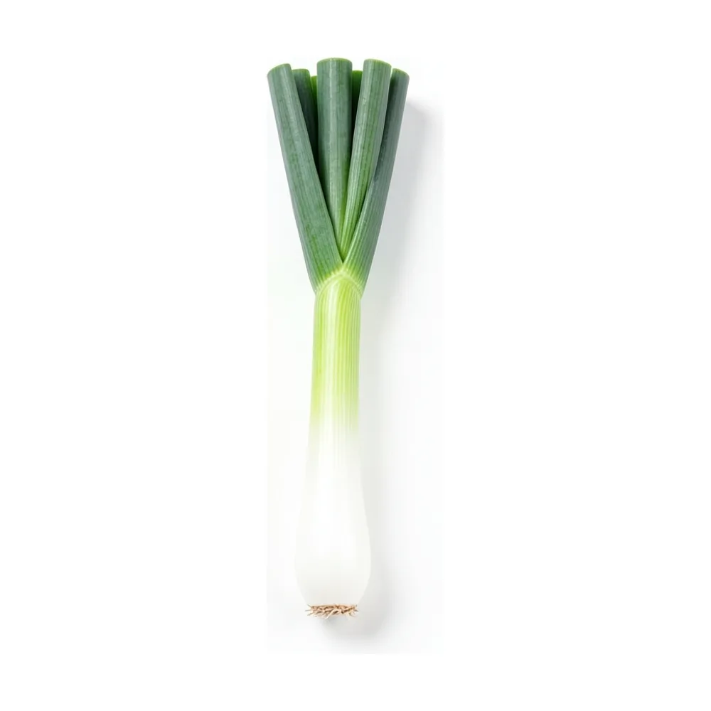 Cebolla de verdeo