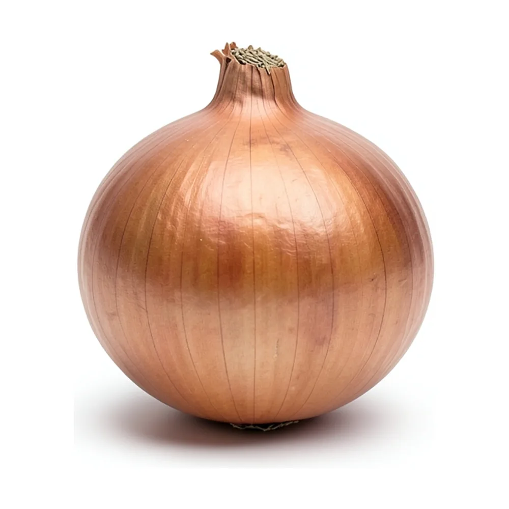 Cebolla