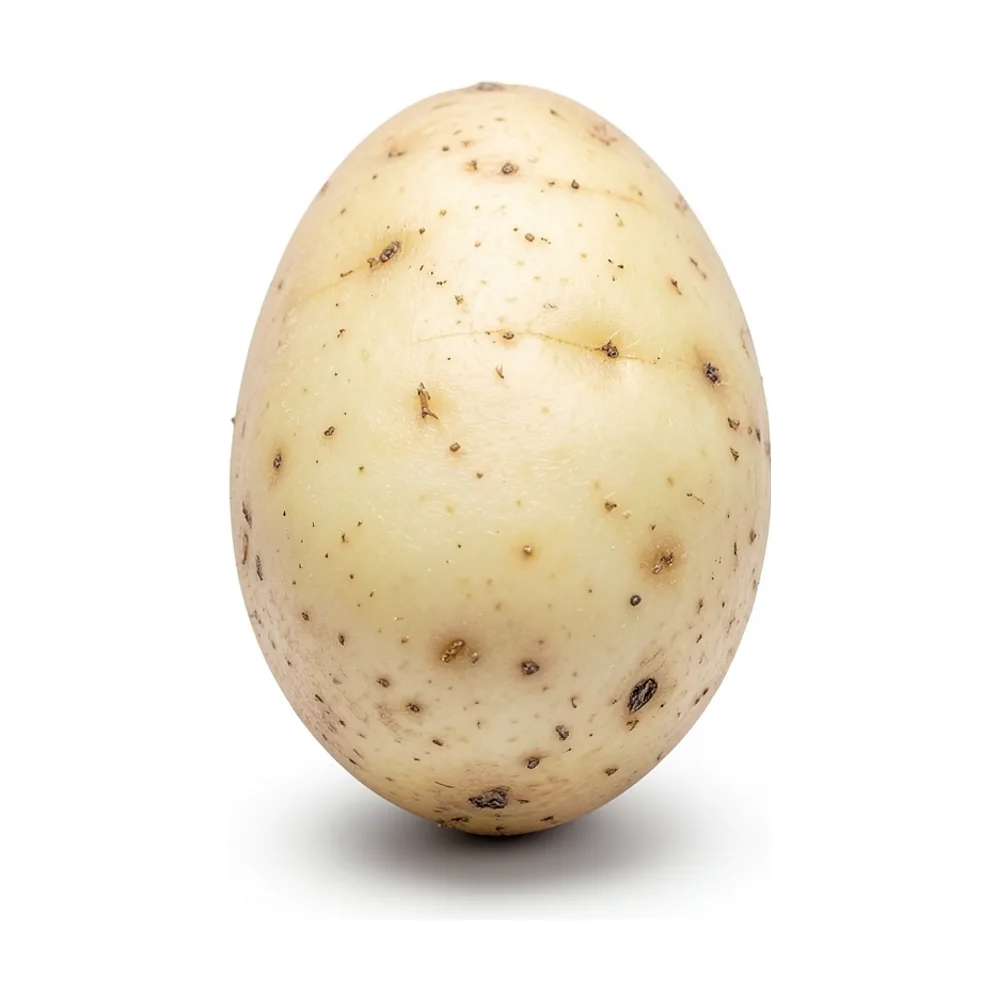 Papa blanca