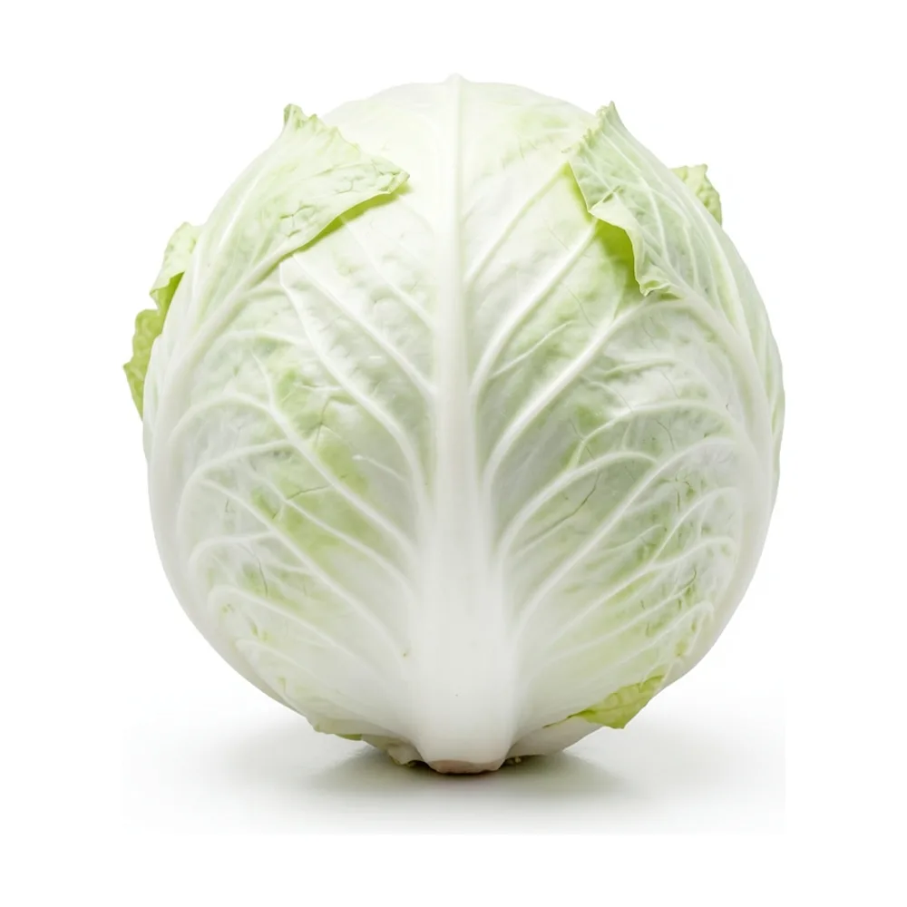 Repollo blanco