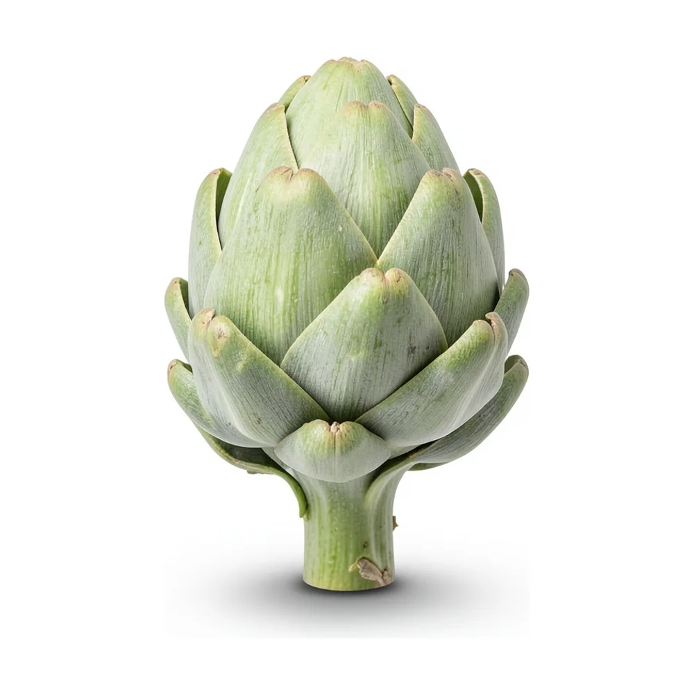 Alcaucil