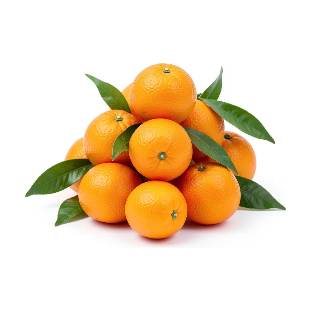 Quinotos